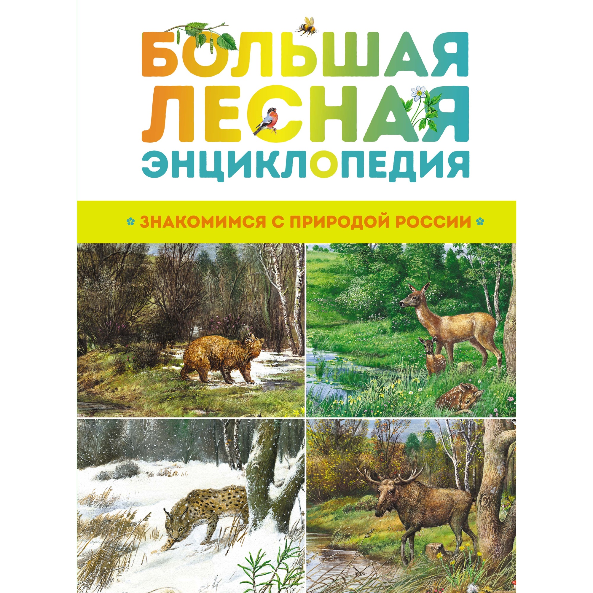 Книга Махаон Большая лесная энциклопедия. Знакомимся с природой России - фото 1