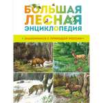 Книга Махаон Большая лесная энциклопедия. Знакомимся с природой России