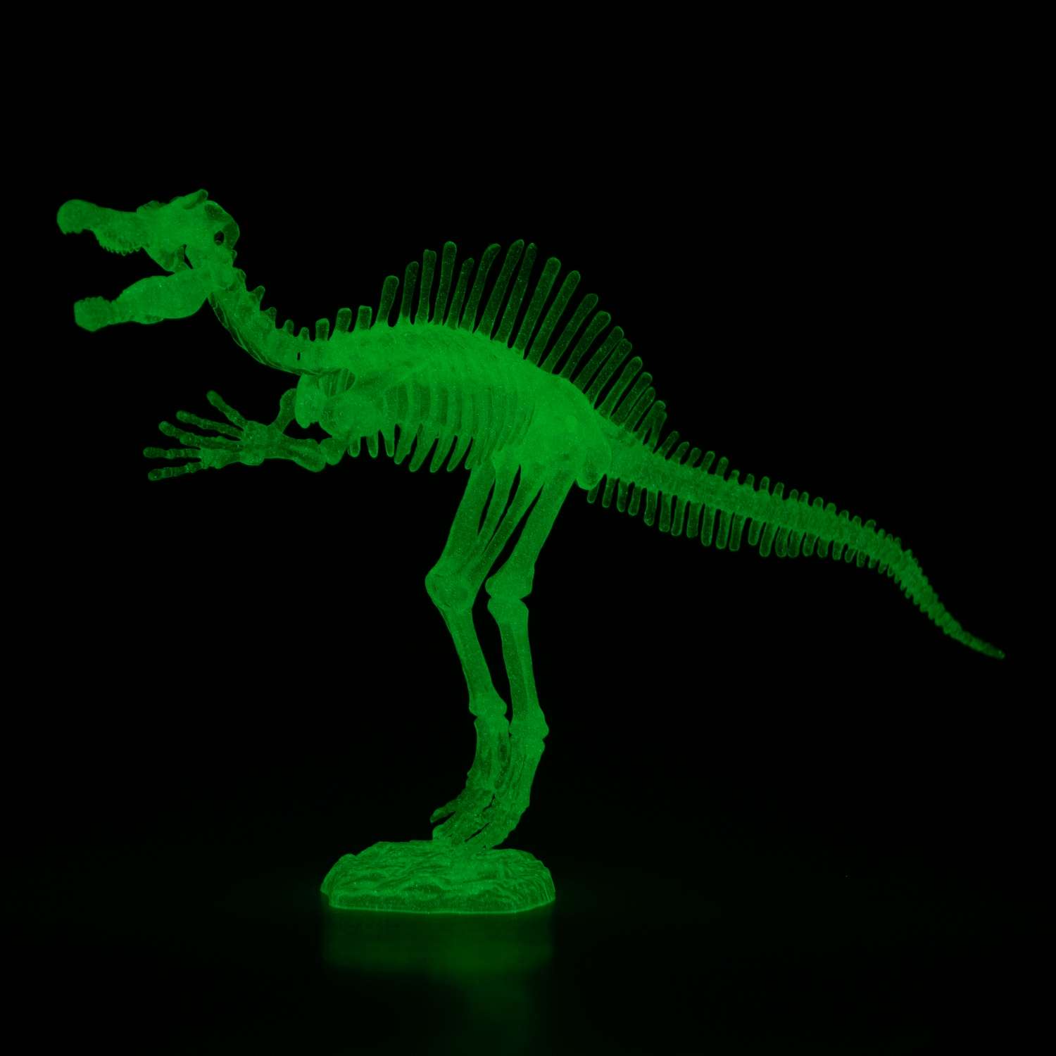 Сборная модель 1TOY 3dino luminus люминисцентный скелет динозавра - фото 2
