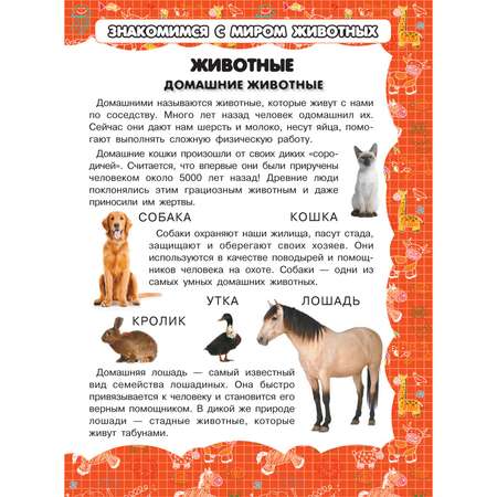 Книга Харвест Моя первая книга Животные