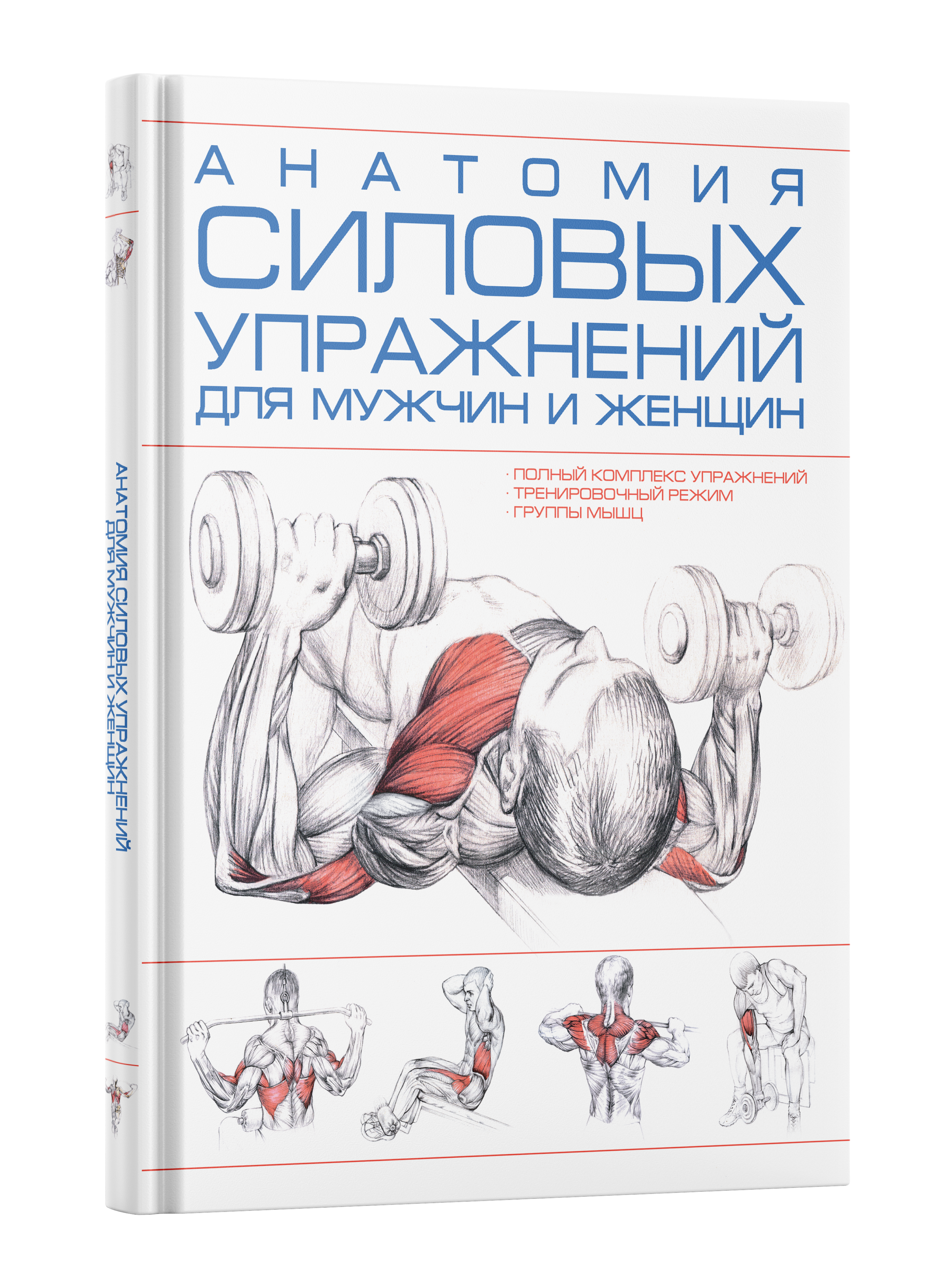 Книга Харвест Анатомия силовых упражнений для мужчин и женщин. Спортивный комплекс упражнений - фото 1