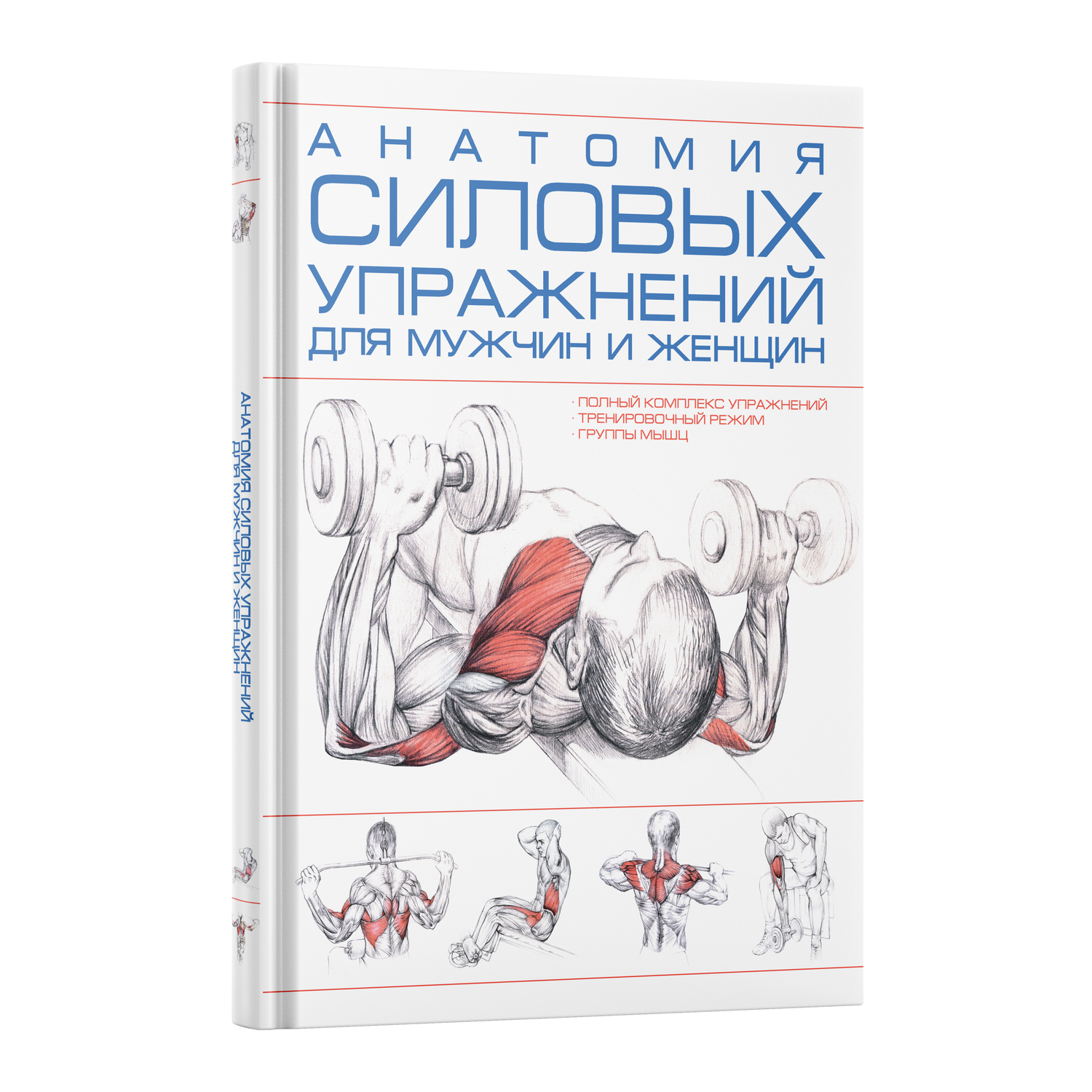 Книга Харвест Анатомия силовых упражнений для мужчин и женщин. Спортивный  комплекс упражнений купить по цене 1059 ₽ в интернет-магазине Детский мир