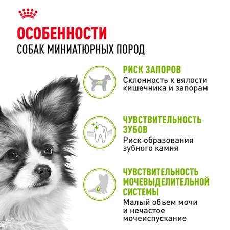 Корм для собак ROYAL CANIN миниатюрных пород 500г