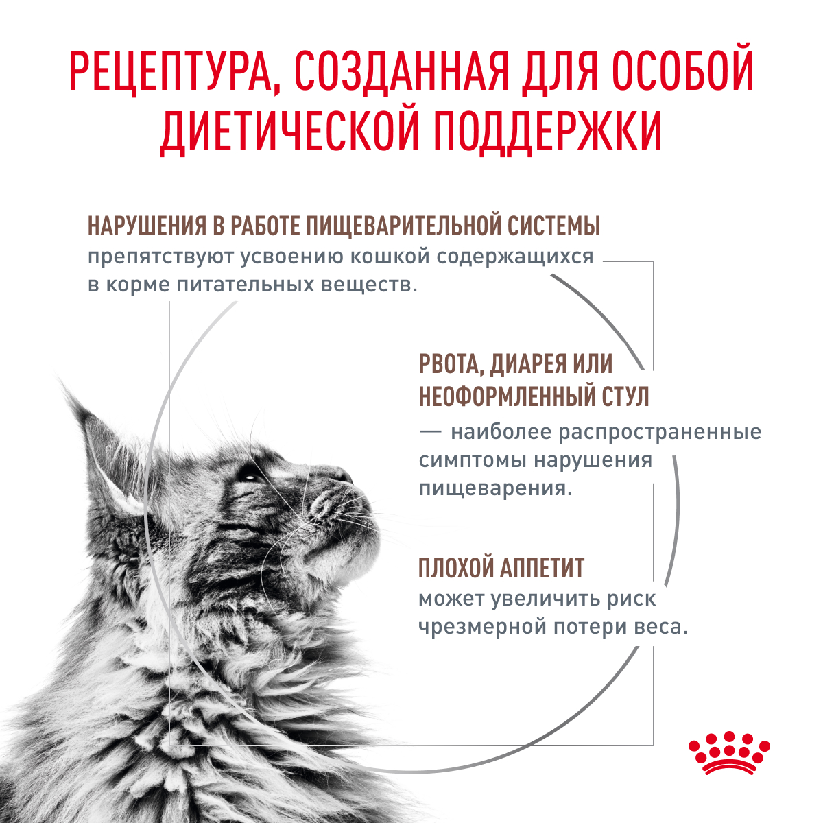 Сухой корм для кошек ROYAL CANIN Gastro Intestinal 0.4 кг (при чувствительном пищеварении, лечебный) - фото 2