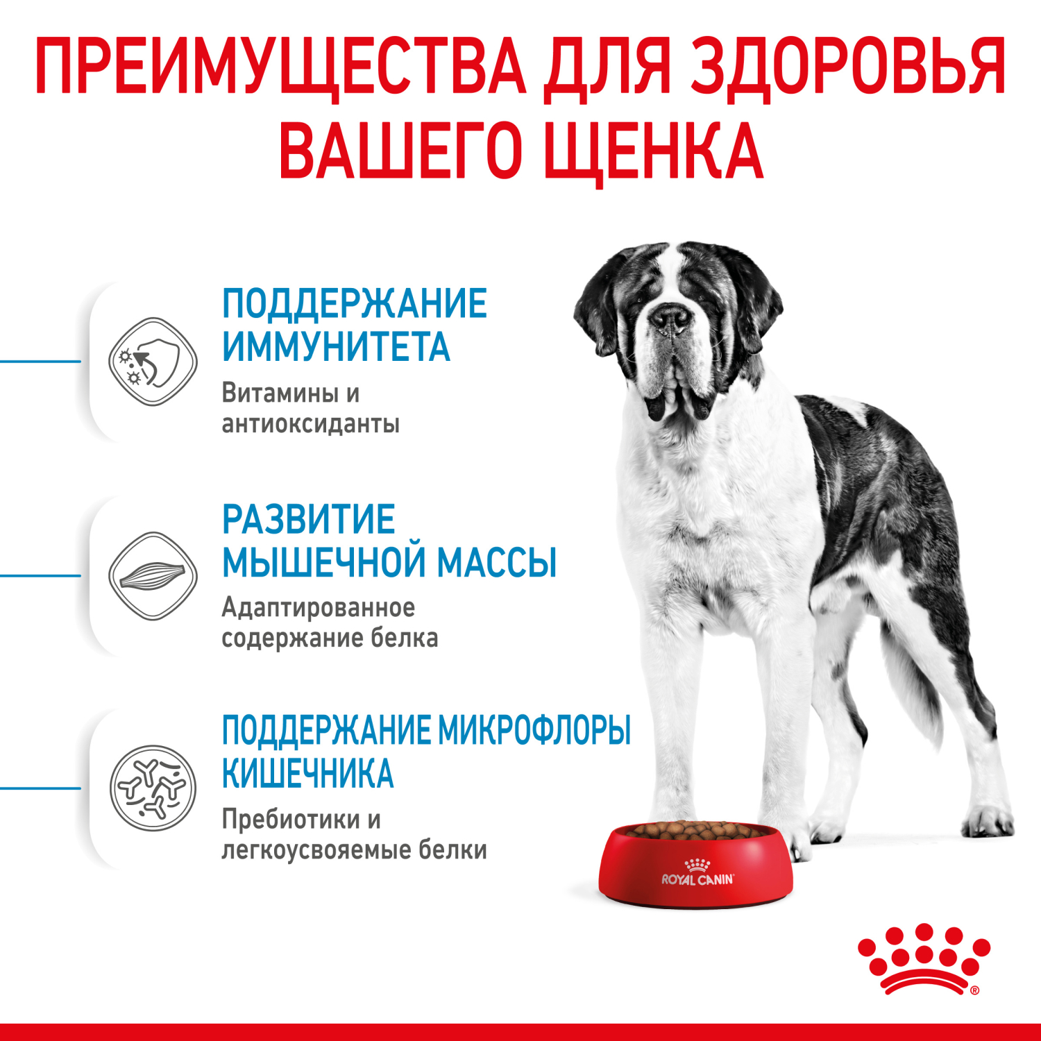 Сухой корм для собак ROYAL CANIN Junior 3.5 кг птица (полнорационный) - фото 6