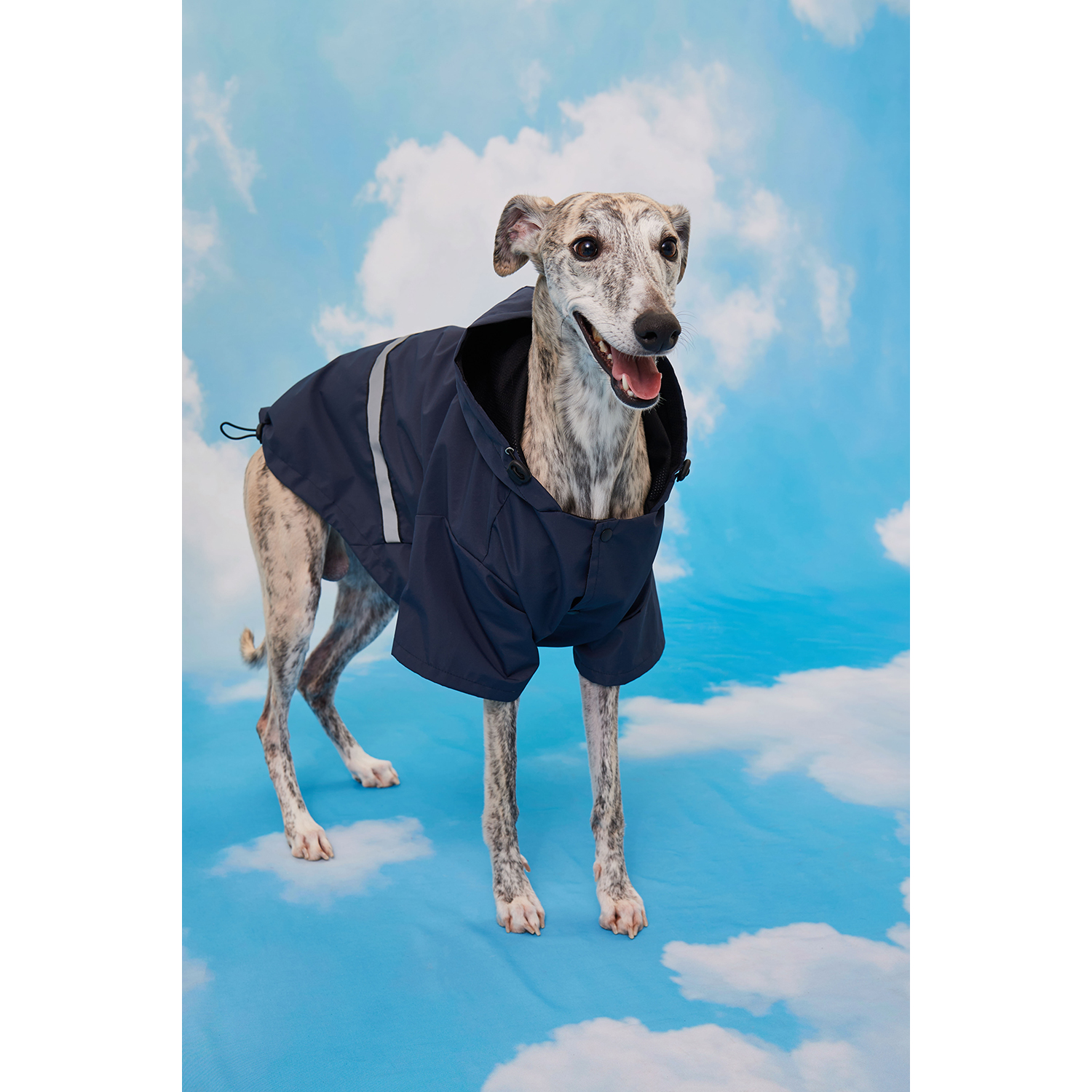 Куртка-дождевик для собак Зоозавр тёмно-синяя 65 - фото 9