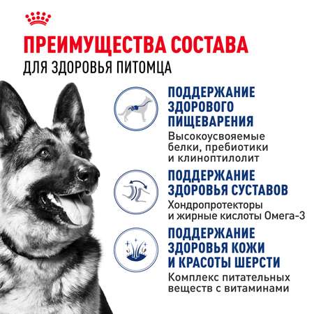 Корм для собак ROYAL CANIN крупных пород до 5 лет 15кг