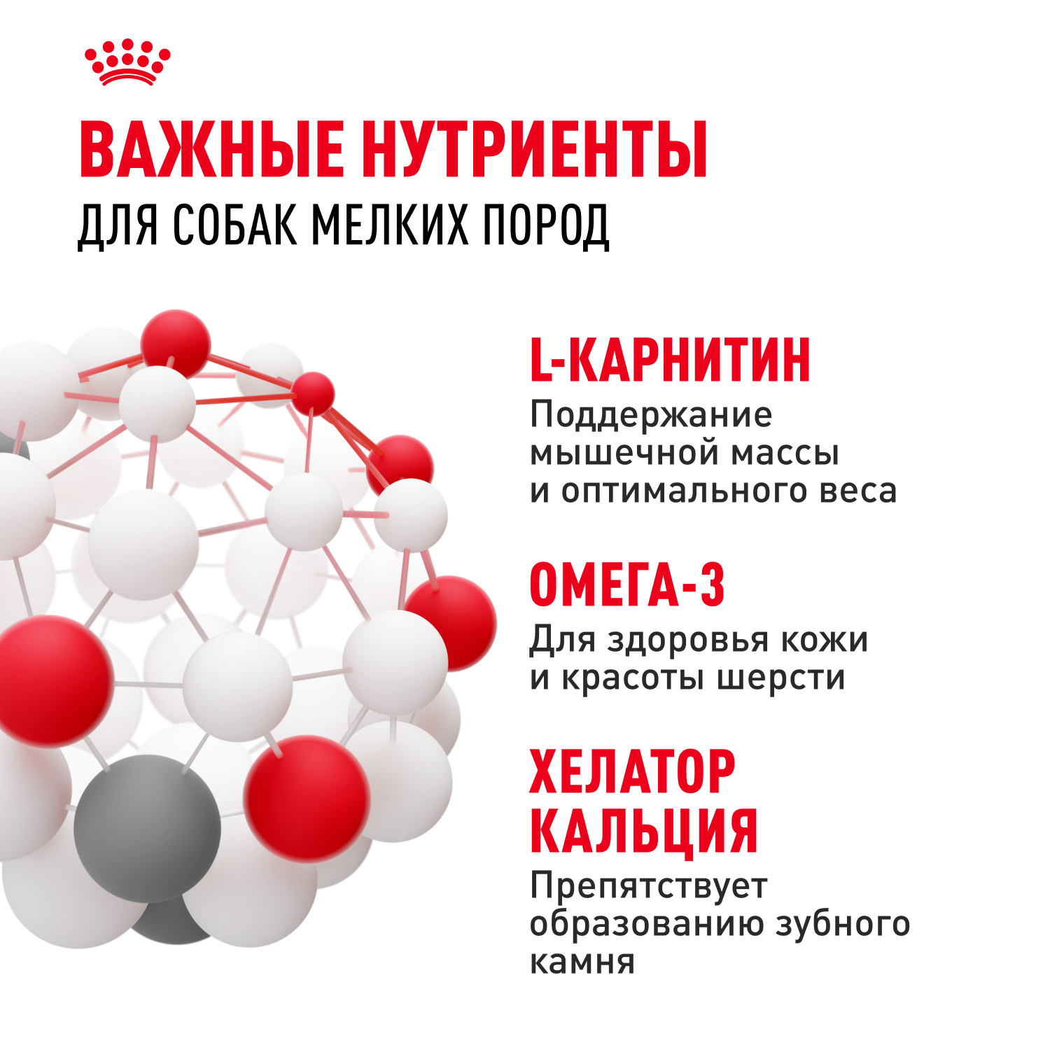 Корм для собак ROYAL CANIN мелких пород 4кг - фото 6