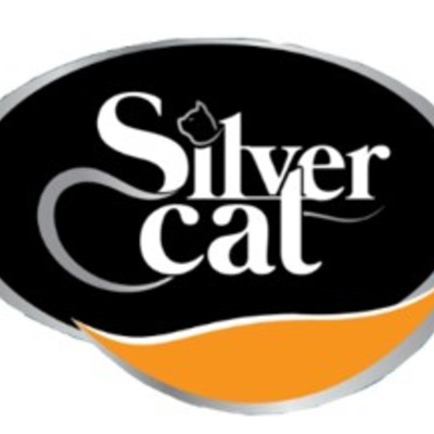 Silver Cat