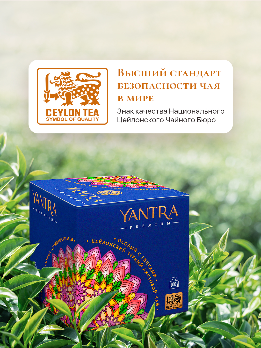 Чай Премиум Yantra чёрный листовой с типсами стандарт Extra Special Tippy Tea 100 г - фото 3