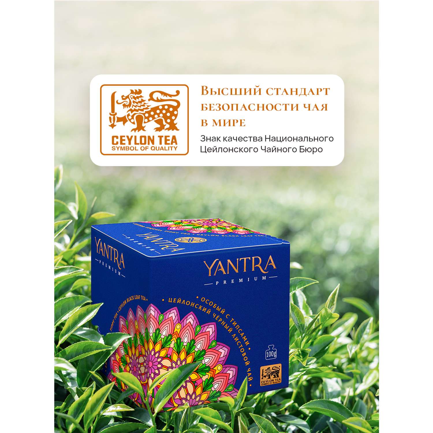 Чай Премиум Yantra чёрный листовой с типсами стандарт Extra Special Tippy Tea 100 г - фото 3