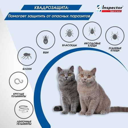 Капли для кошек Inspector Quadro 8-15кг от наружных и внутренних паразитов 1.5мл