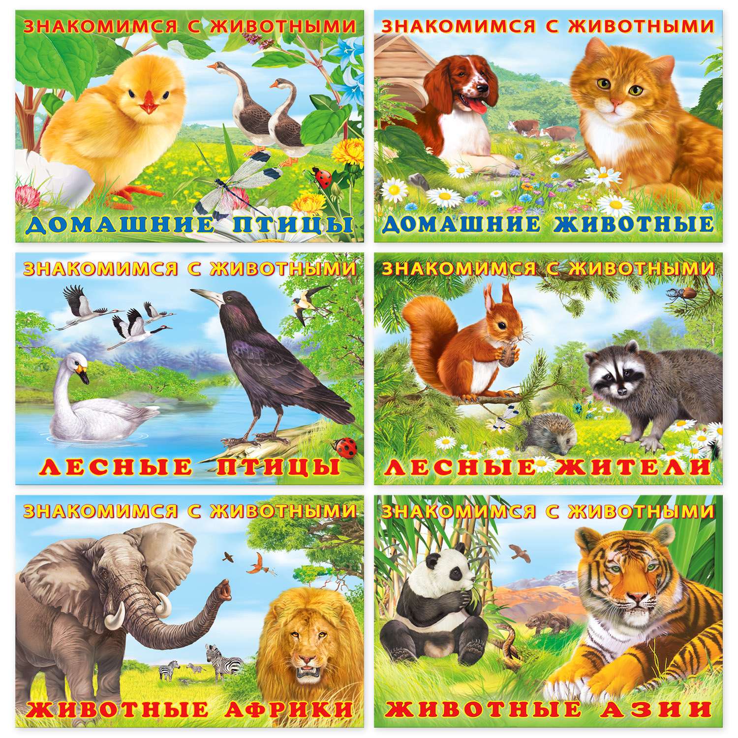 Набор книг Фламинго Развивающая и познавательная серия для малышей - Знакомимся с животными 6 шт - фото 1