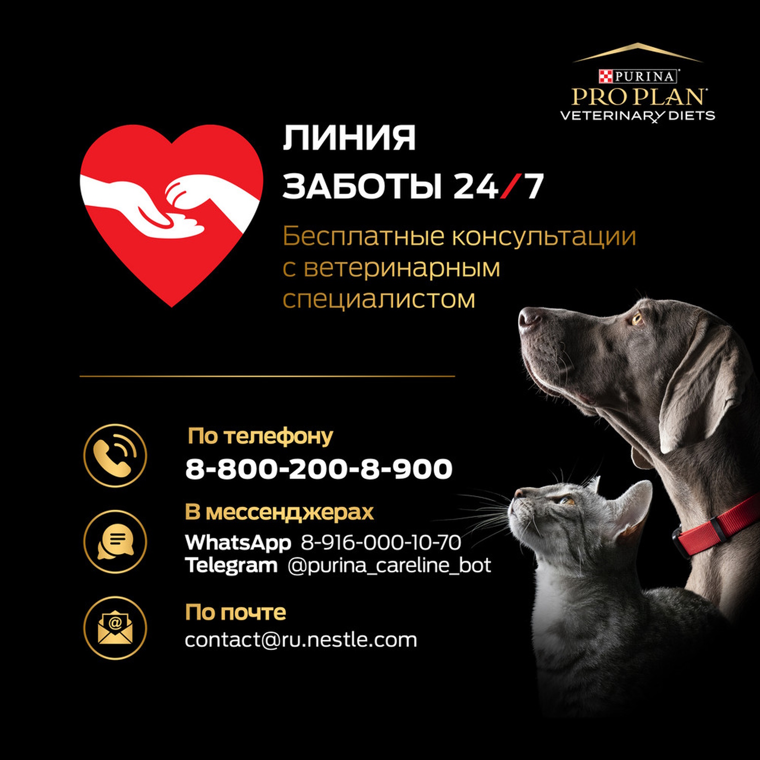 Корм для кошек Purina Pro Plan Veterinary diets 85г с курицей при сахарном диабете влажный в соусе - фото 8