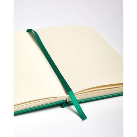 Скетчбук Talens Art Creation 140г/м2 21х29.7см 80 листов цвета слоновой кости Твердая зеленая обложка