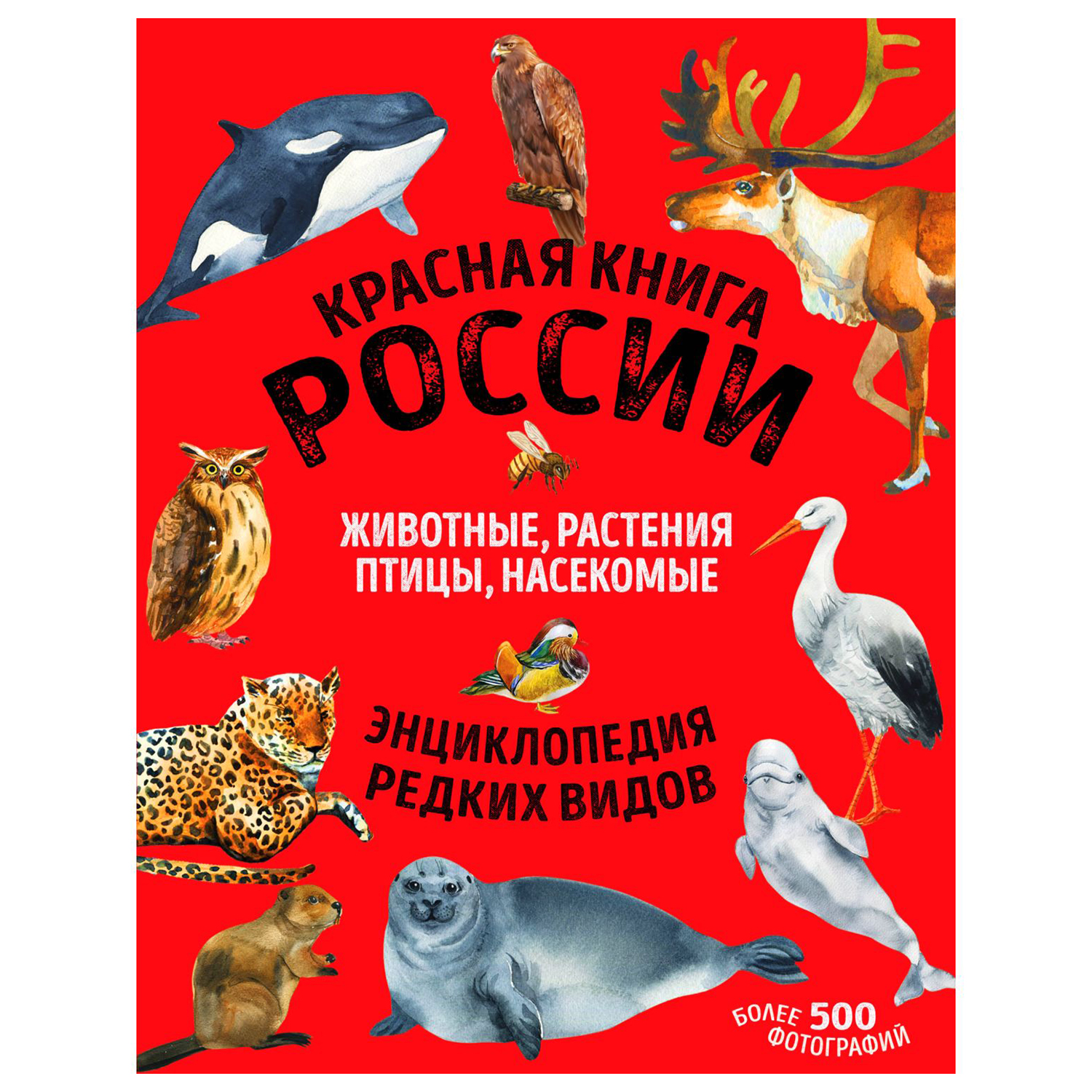 Книга Эксмо Красная книга России все о жизни дикой природы купить по цене  1387 ₽ в интернет-магазине Детский мир