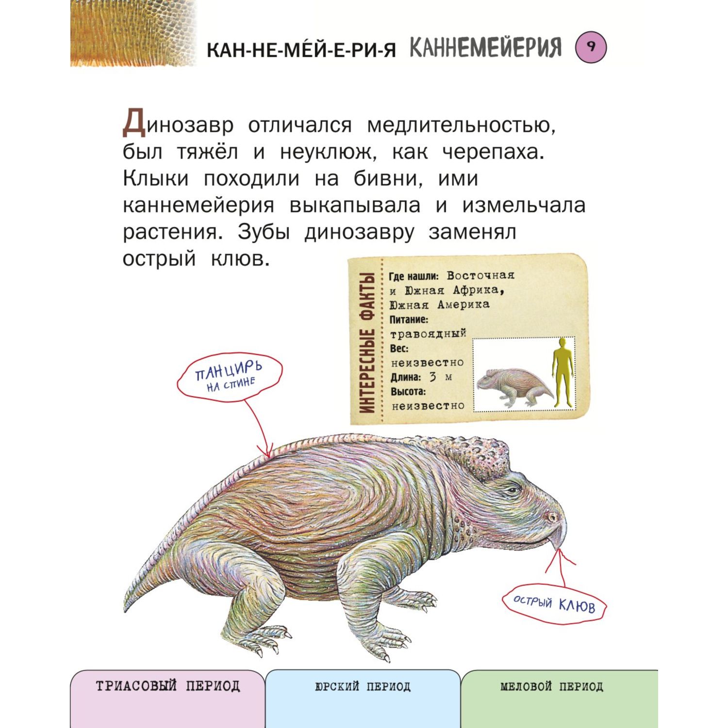 Книга Эксмо Все травоядные динозавры с крупными буквами - фото 6