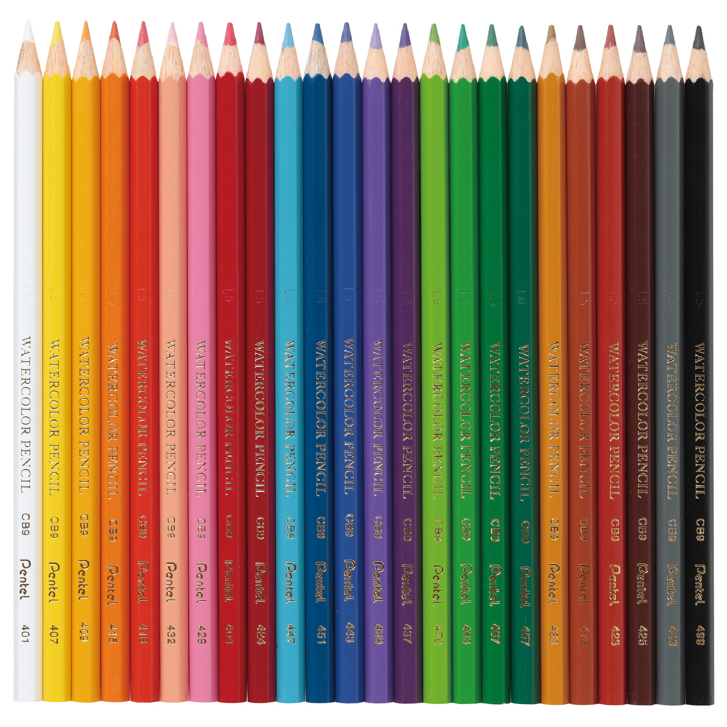 Карандаши Pentel цветные акварельные Colour pencils 24 штуки - фото 2