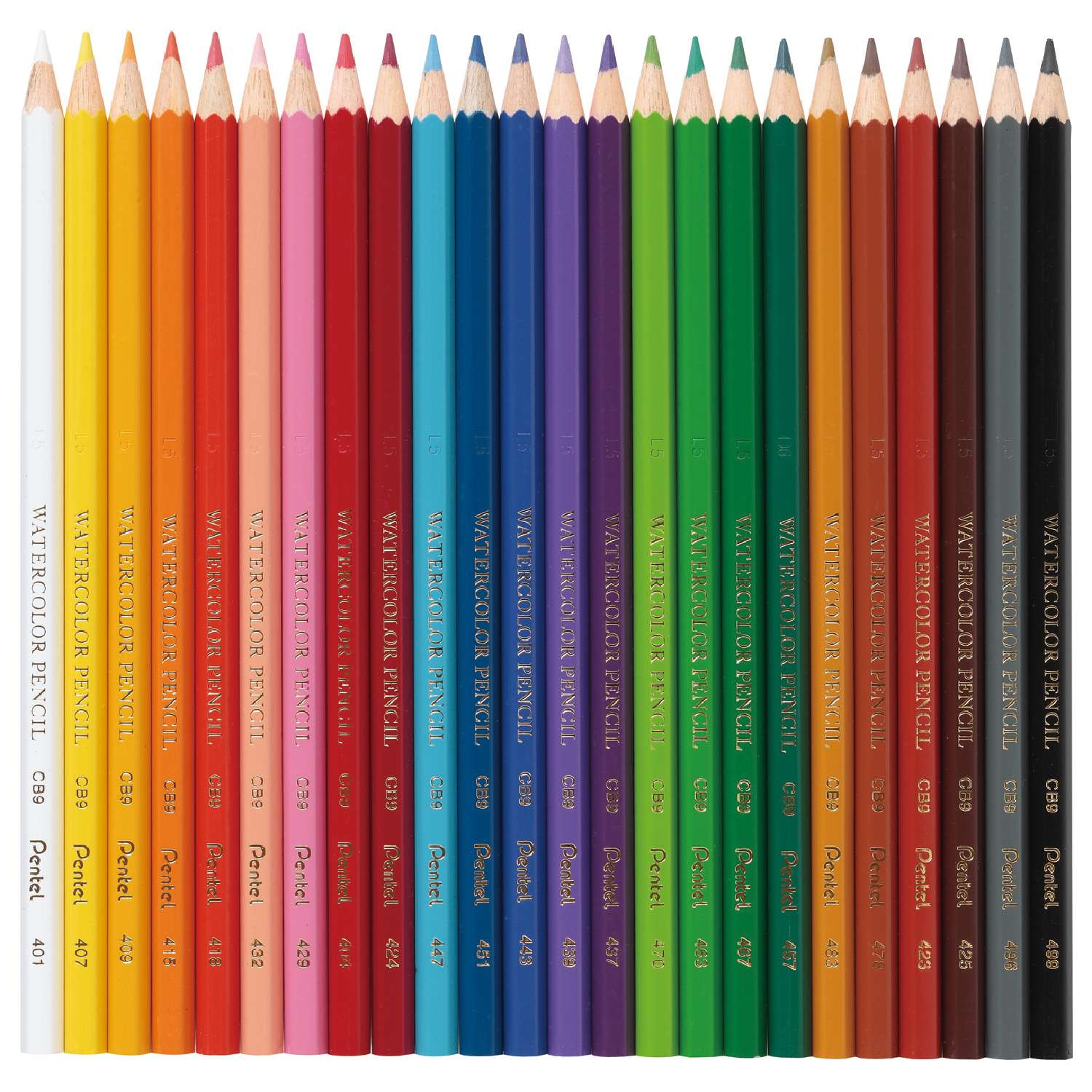 Карандаши  Pentel цветные акварельные Colour pencils 24 штуки - фото 2