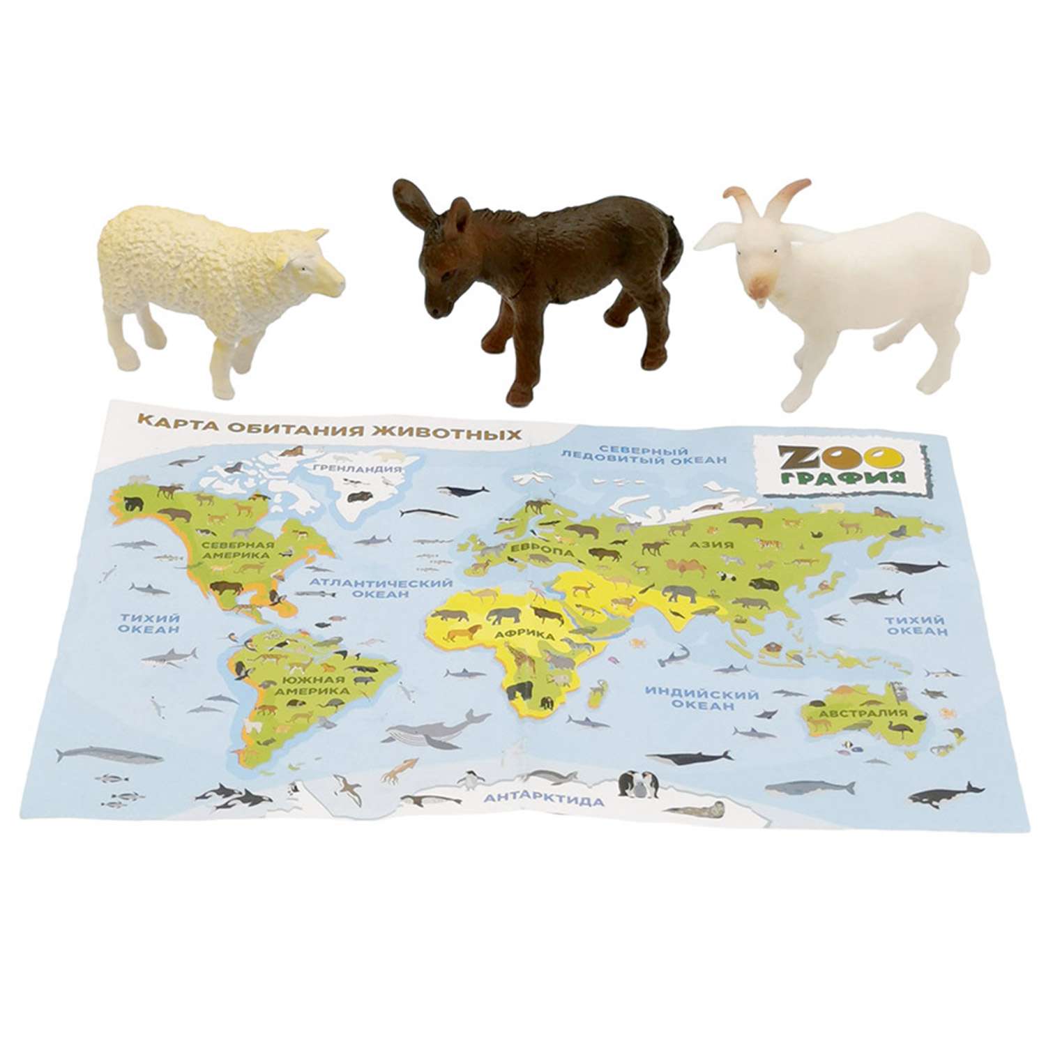 Игровой набор S+S Домашние животные с картой обитания внутри 3 шт Zooграфия - фото 1