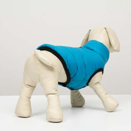 Куртка для собак Sima-Land двухсторонняя XS голубая/серая