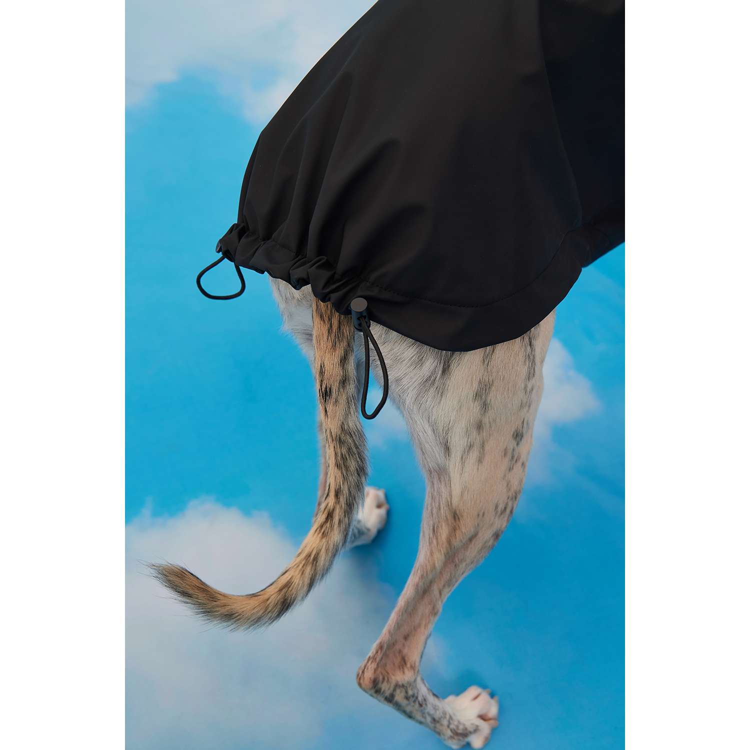 Дождевик-куртка для собак Zoozavr чёрный 50 - фото 12