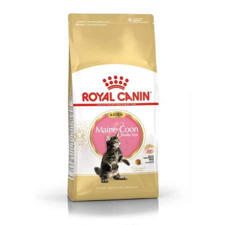 Корм для котят Royal Canin 2кг Maine Coon Kitten породы мейн-кун