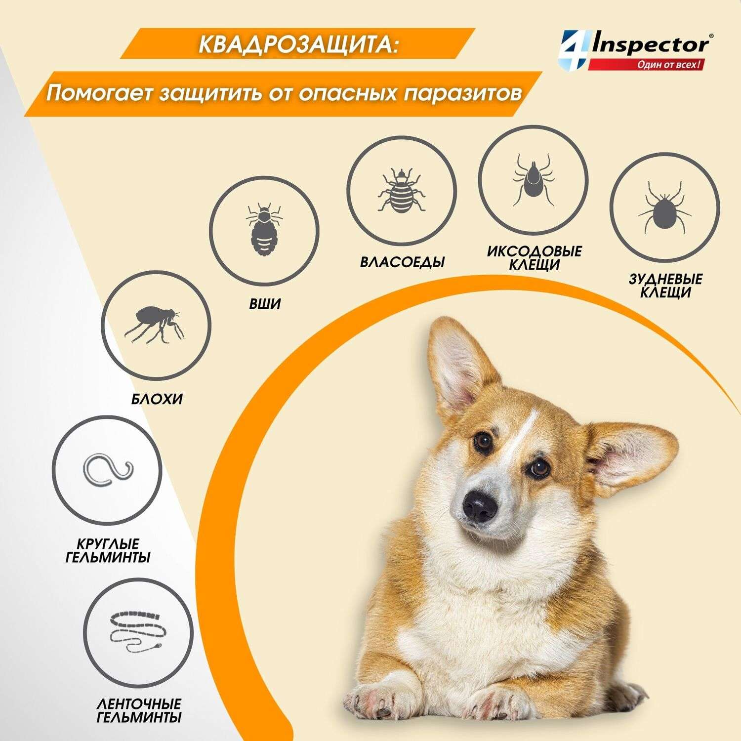 Капли для собак Inspector Quadro 1-4кг от наружных и внутренних паразитов 0.4мл - фото 4