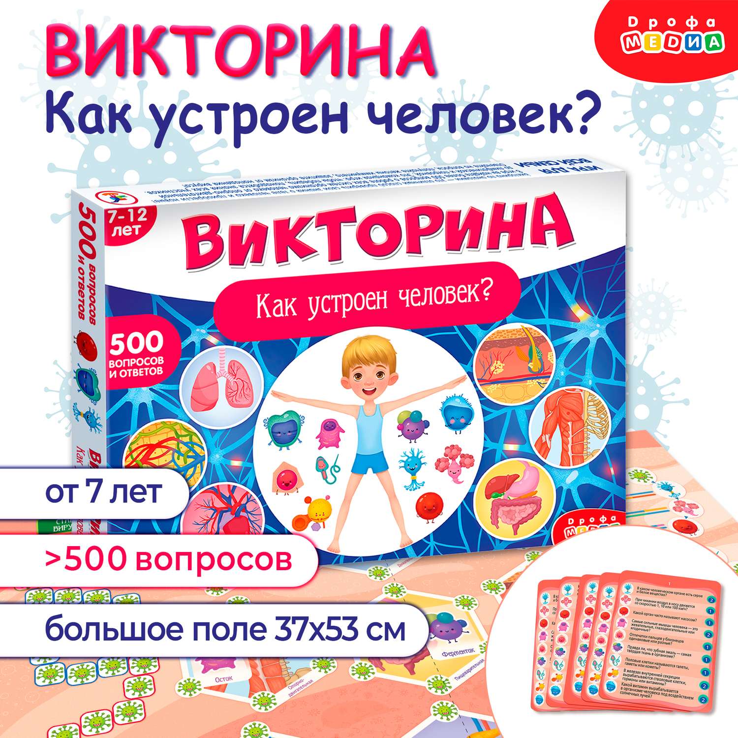 Игра настольная Дрофа-Медиа Викторина. Как устроен человек? 4193 купить по  цене 793 ₽ в интернет-магазине Детский мир