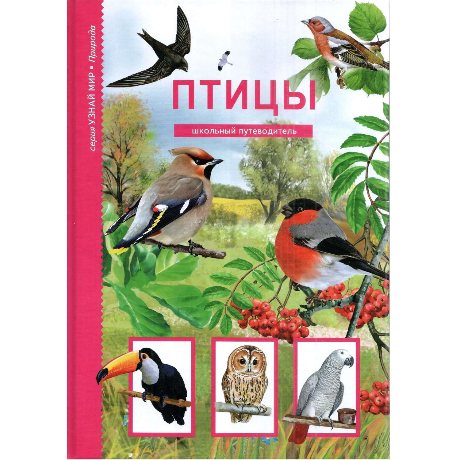 Книги о птицах. Птицы школьный путеводитель Бугаев. Книги о птицах для детей. Птицы. Школьный путеводитель.