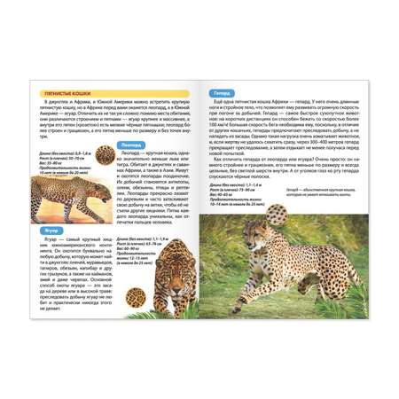 Набор мини-энциклопедий Буква-ленд Мир животных