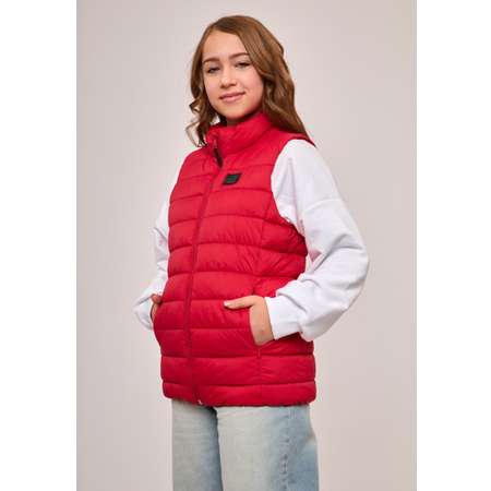 Жилет Stylish AMADEO