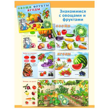 Книги Фламинго Учим малыша: буквы цифры животные растения Первые знания для детей и малышей 5 книг