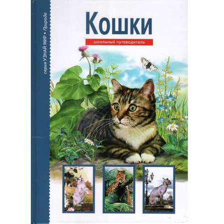 Книга Лада Кошки. Школьный путеводитель