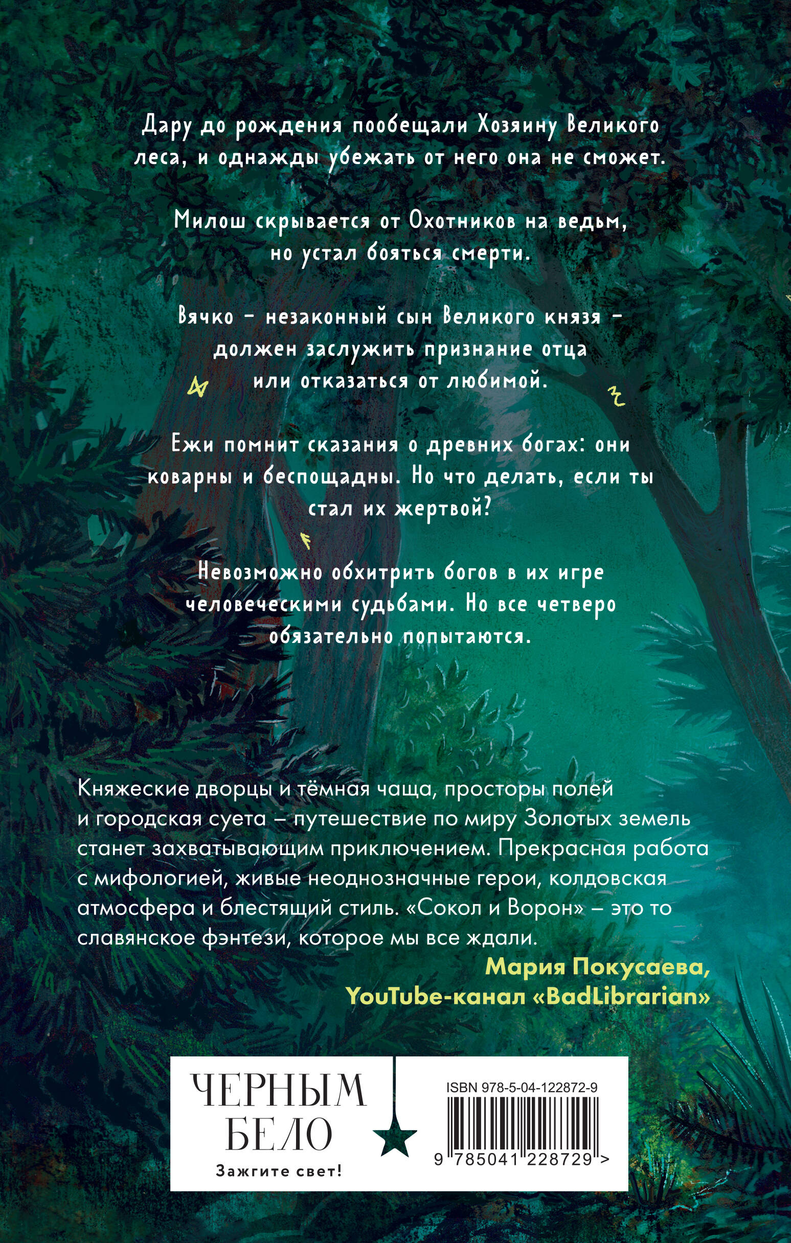 Книга Эксмо Золотые земли Сокол и Ворон 1 - фото 10