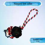 Игрушка для собак Uniglodis шар на веревке черный