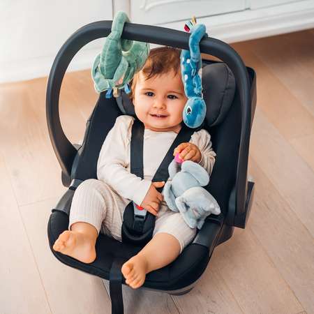 Игрушка Babyono подвеска Хамелеон Charles в ассортименте