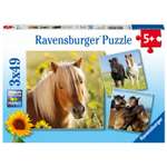 Пазл Ravensburger Пони 49элементов*3шт 08011