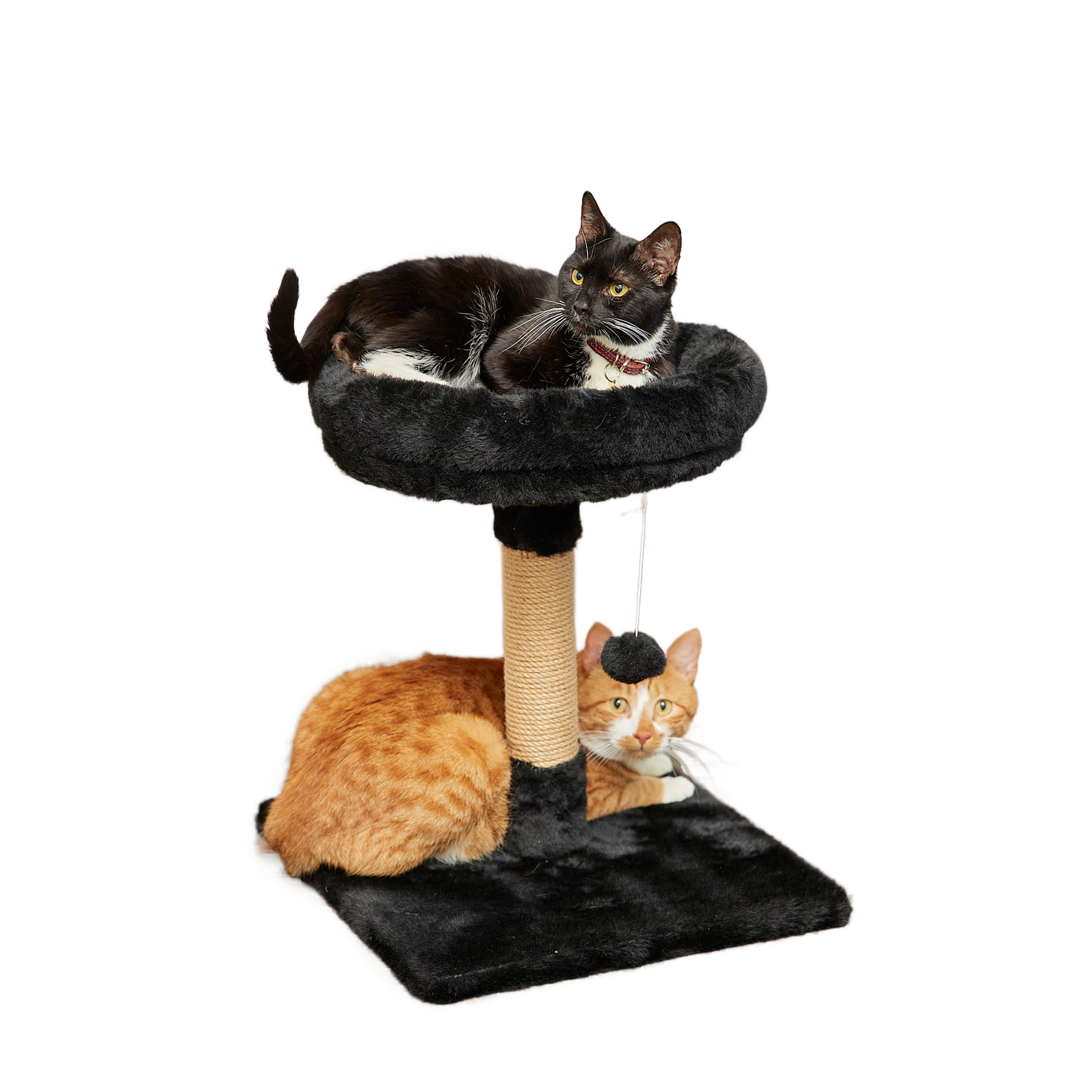 Когтеточка для кошек лежанка Pet БМФ Черный - фото 1