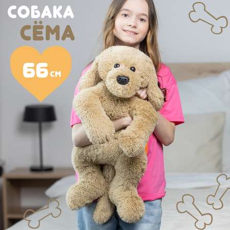 Мягкая игрушка Мягкие игрушки БелайТойс Плюшевая собака Сема 25 см