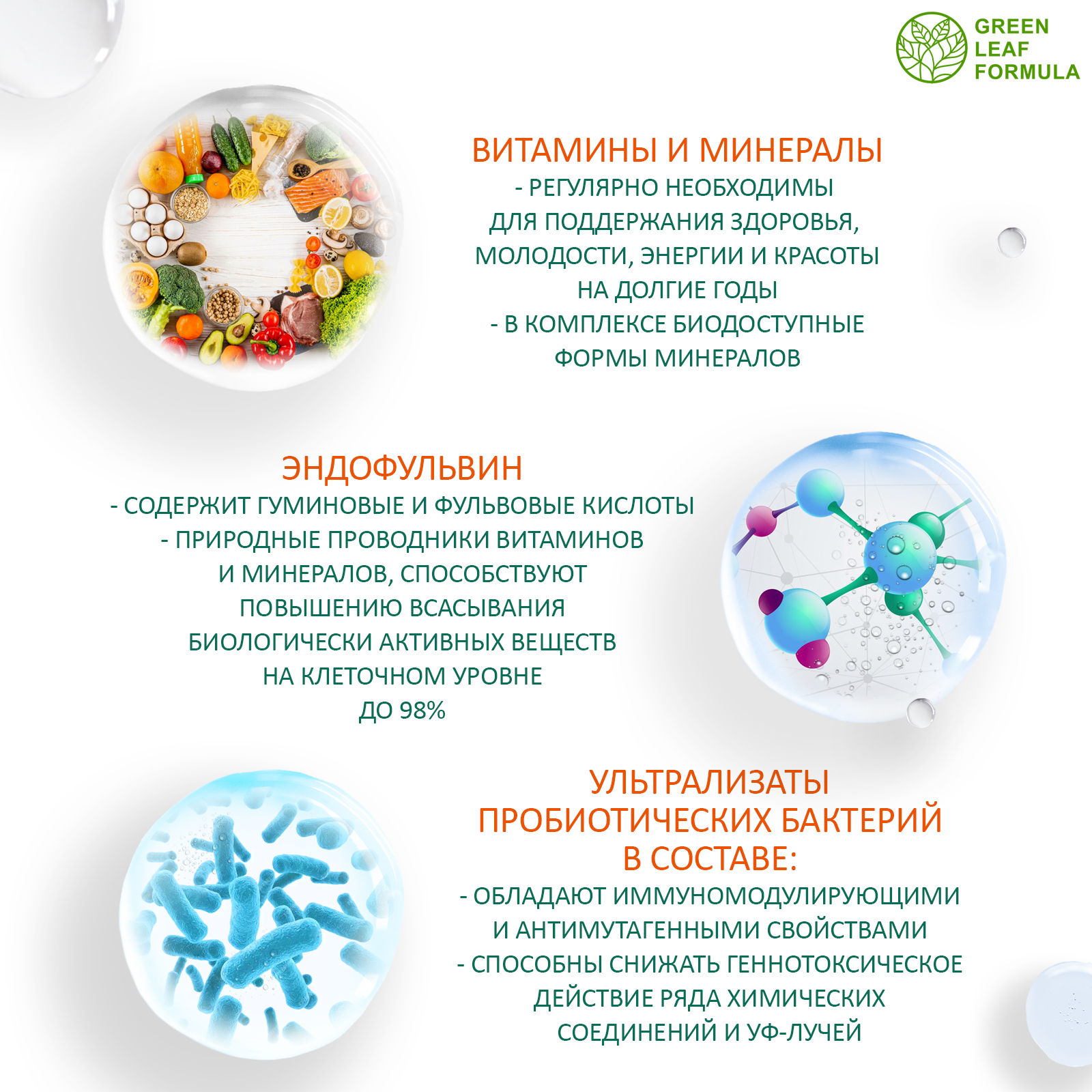 Набор Green Leaf Formula Куркумин с пиперином и Витаминно-минеральный комплекс для женщин и мужчин 60 капсул - фото 12