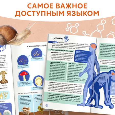 Энциклопедия в мягком переплёте Буква-ленд «Биология для детей» 68 стр.