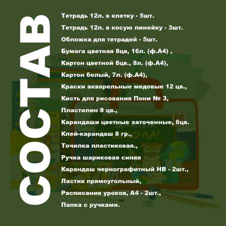 Набор первоклассника Отличник в папке 29 предметов