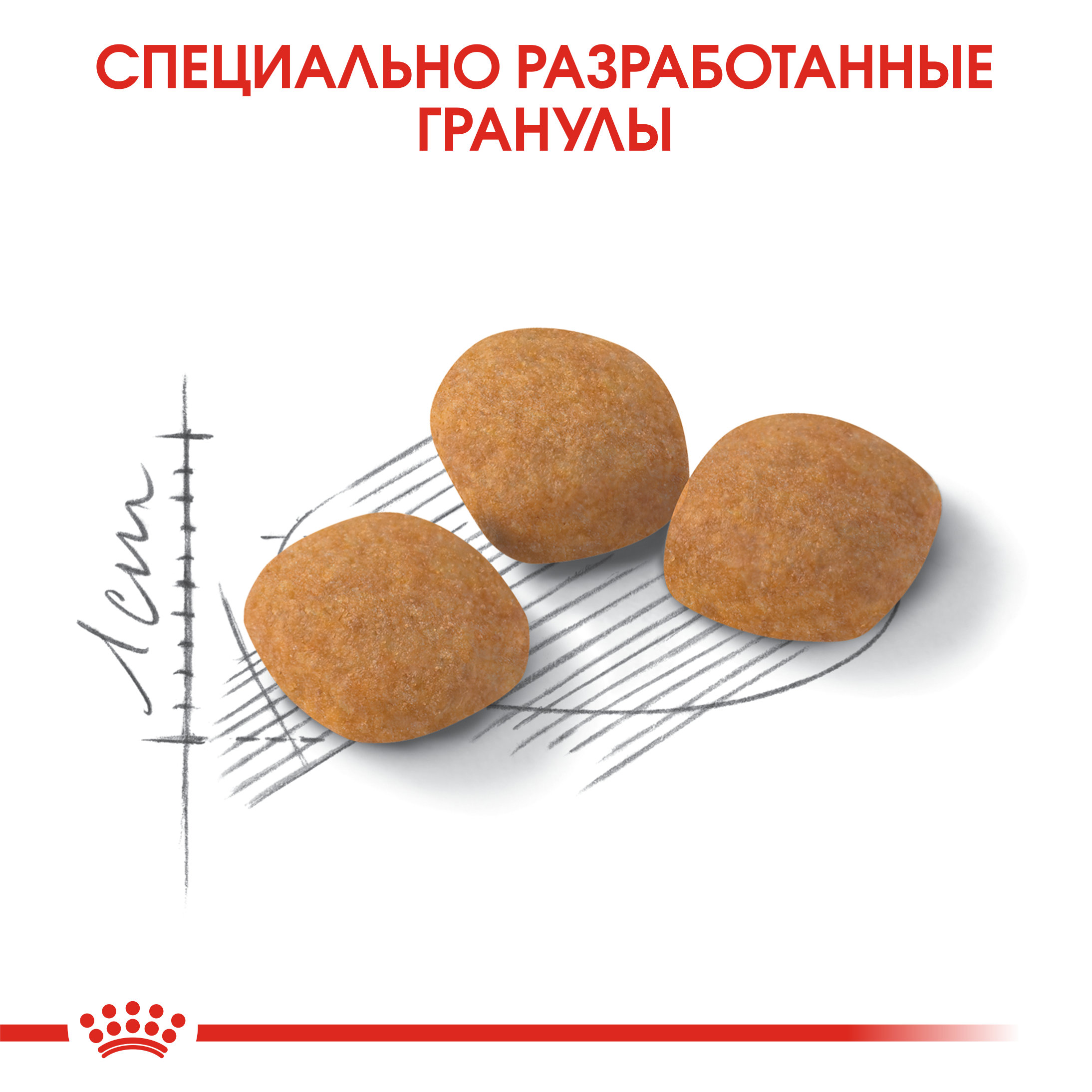 Корм сухой для кошек ROYAL CANIN Exigent Protein 4кг привередливых к составу продукта - фото 6