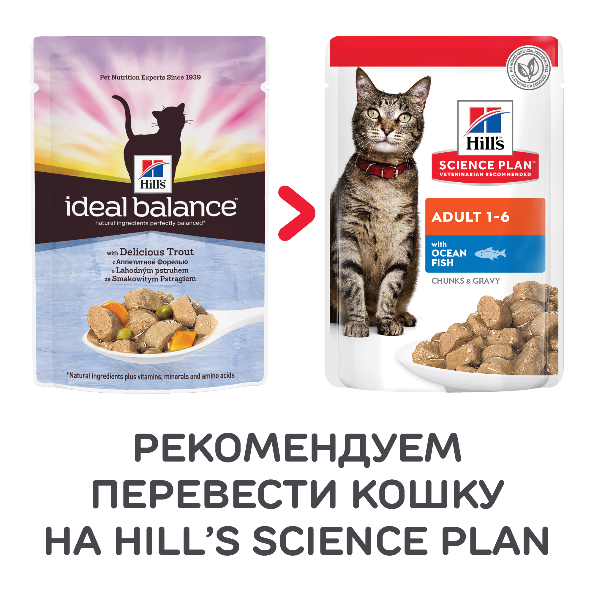 Корм влажный для кошек HILLS 85г Ideal Balance с аппетитной форелью пауч - фото 4