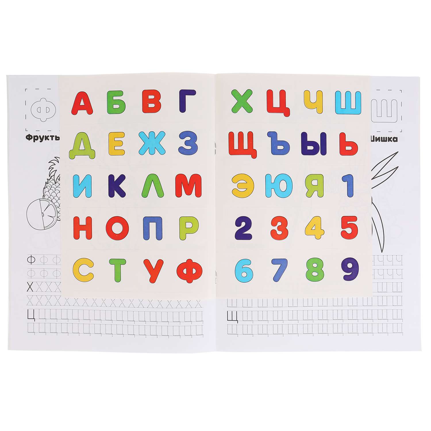 Раскраска УМка Учим азбуку и цифры Лео и Тиг с наклейками 248766 - фото 4