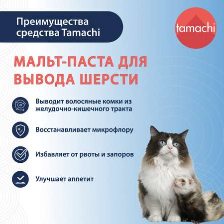 Паста для кошек Tamachi Мальт для вывода шерсти 30мл