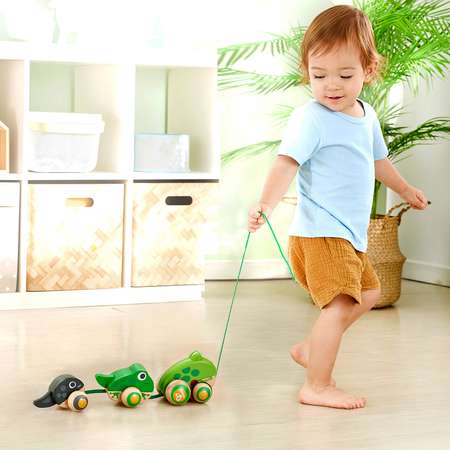 Игрушка для малышей каталка HAPE Семья лягушек на прогулке