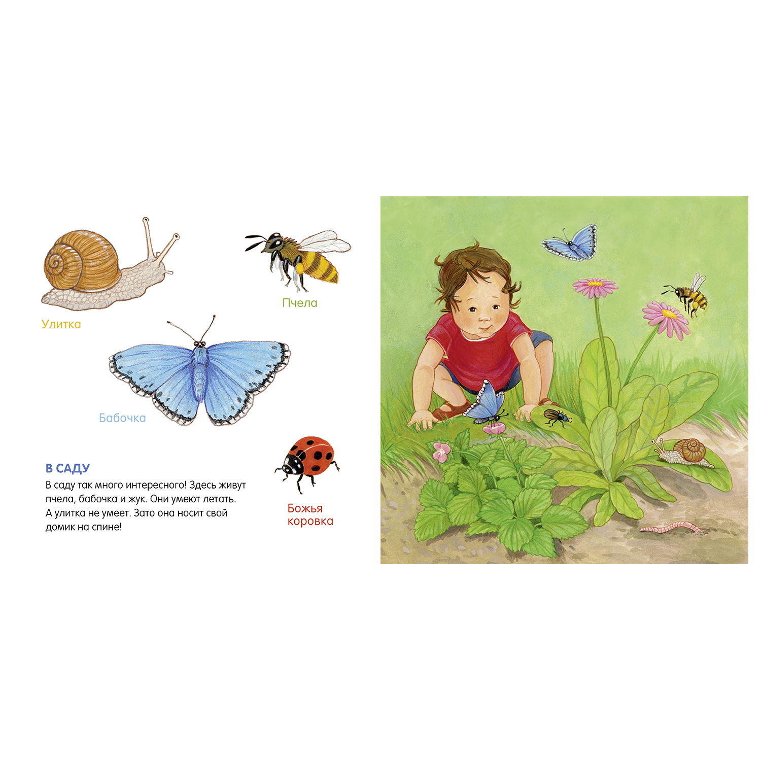 Книга Clever Книжки картонки Я учусь говорить Животные - фото 4