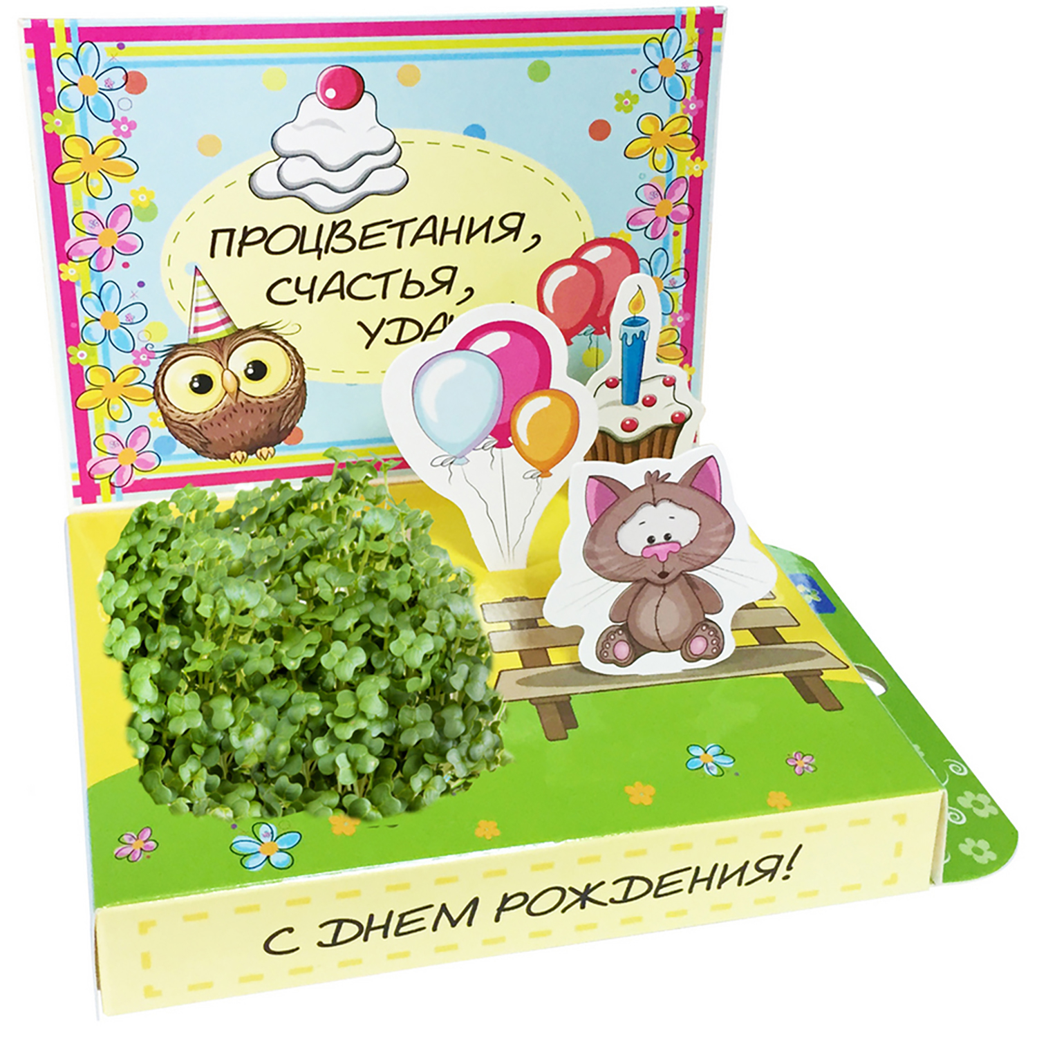 Набор для выращивания Happy Plant Вырасти сам микрозелень Живая открытка С Днем рождения! - фото 1